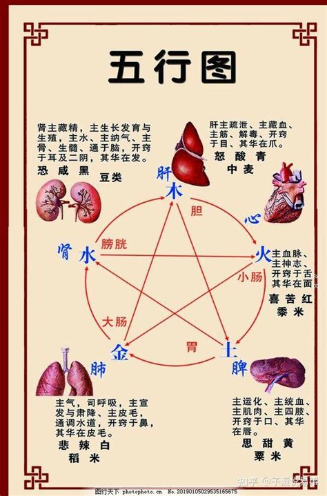 五行齊全|五行齐全的利与弊(初学者必备)